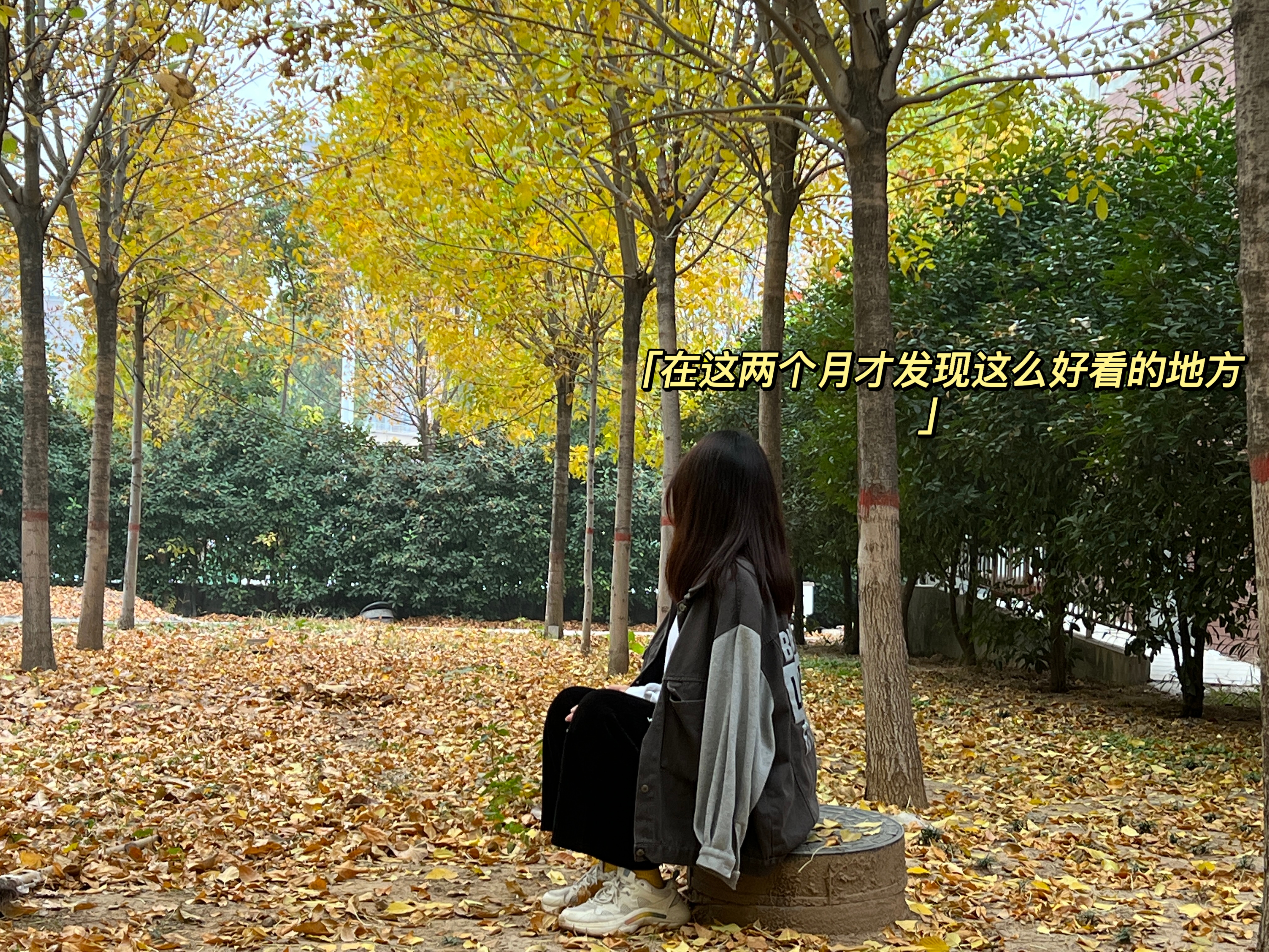 22级本科物流管理二班赵敖茹 13723248137